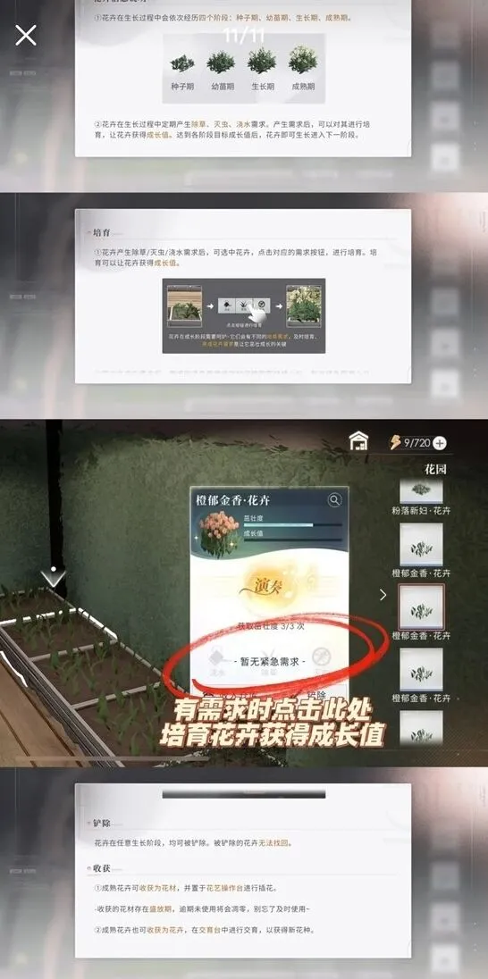 恋与深空与他