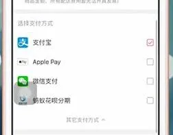 大麦支付方式