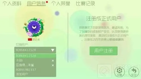 球球大作战bob帐号不能删除解决完整指南