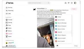 TikTok网页版最新地址获取技巧