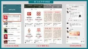 小红书爆款推流阶段特点详细说明