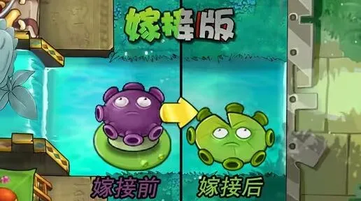 《植物大战僵尸》忧郁菇荷叶前排放置技巧