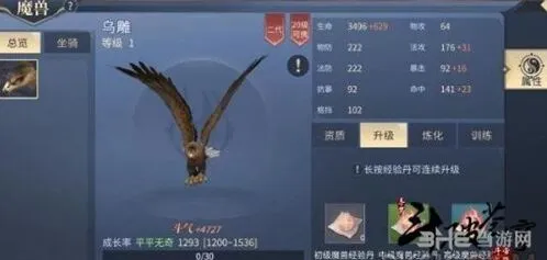 斗破苍穹：魔兽培养从入门到精通