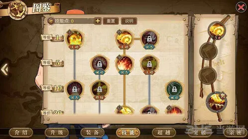 航海王艾斯怎么加点攻略指南