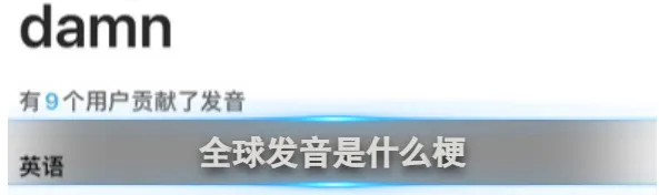《网易有道词典》全球发音梗含义是什么