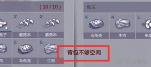 《阿瑞斯病毒》背包扩容全指南