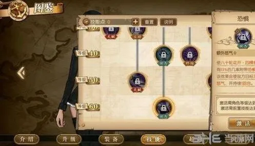航海王燃烧意志罗宾技能全攻略