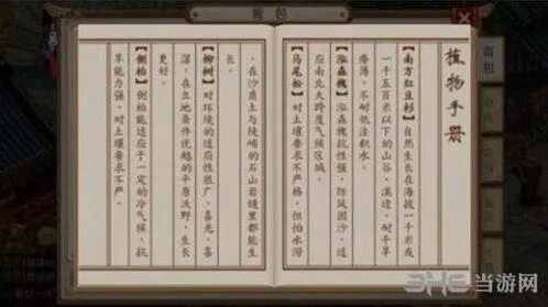 问道手游马尾松种植方法教程