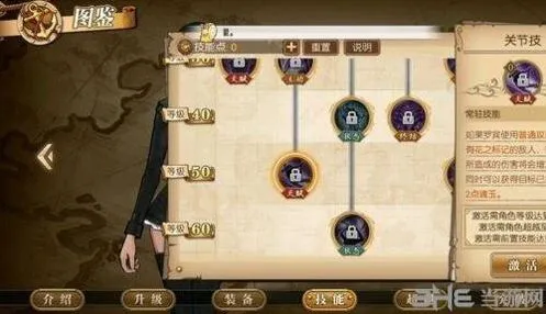 航海王技能效果