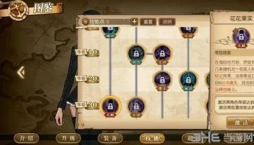 航海王图解