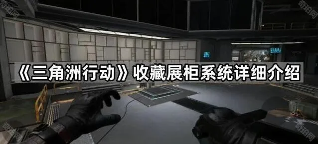 三角洲行动三角洲