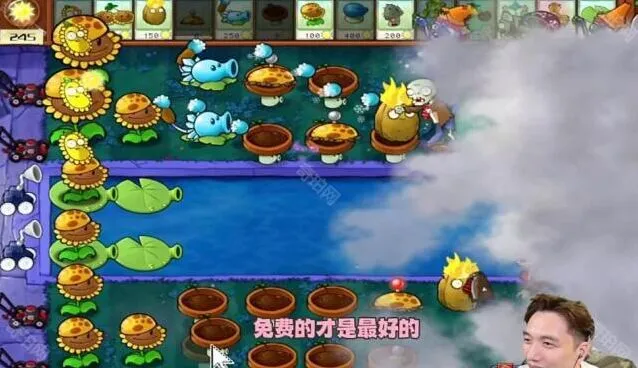植物大战僵尸通关