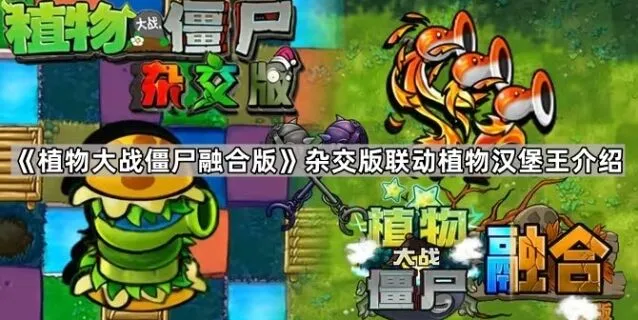 《植物大战僵尸》杂交版联动植物汉堡王教程
