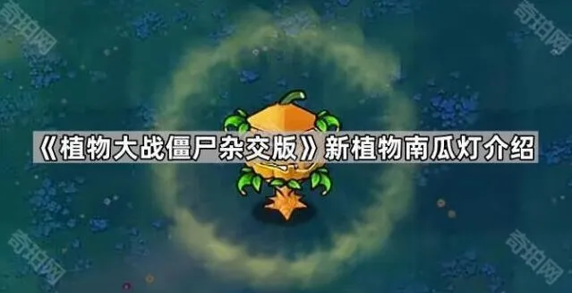 植物大战僵尸杂交版南瓜灯全攻略