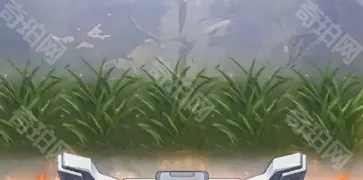 向僵尸开炮一览