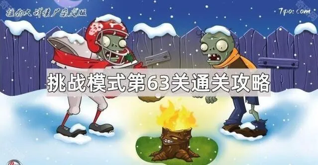 植物大战僵尸挑战63关通关指南
