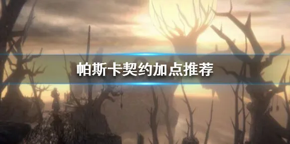 帕斯卡契约加点技巧 四系加点方法