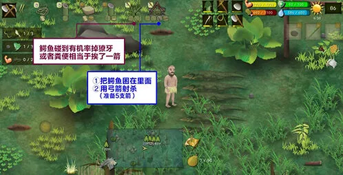 挨饿荒野沼泽丛林鳄鱼捕捉心得