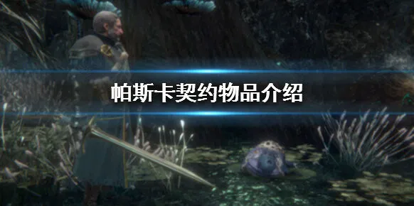 帕斯卡契约物品道具盘点