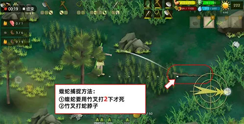挨饿荒野高山