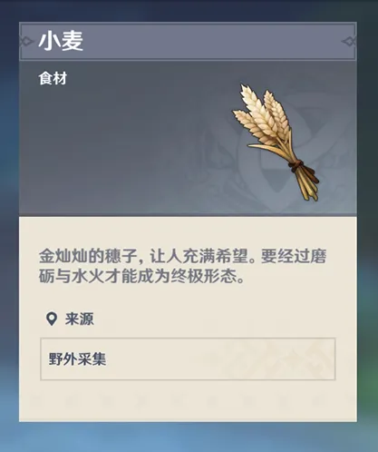 原神小麦怎么获得 技巧分享