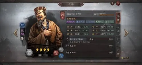 三国志战略版王朗怎么用玩法详解