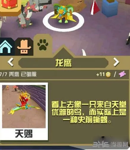 龙鹰属性图鉴：疯狂动物园攻略