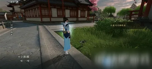 遇见手游洞中之人奇遇任务攻略详解