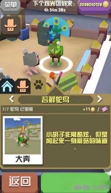 疯狂动物园苔藓