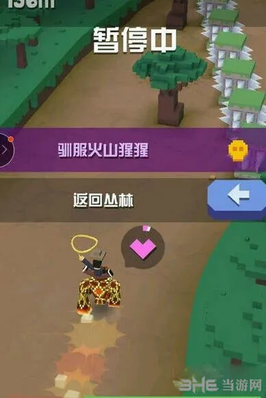 疯狂动物园猩猩
