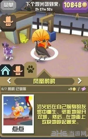 疯狂动物园凤凰鸸鹋入手指南