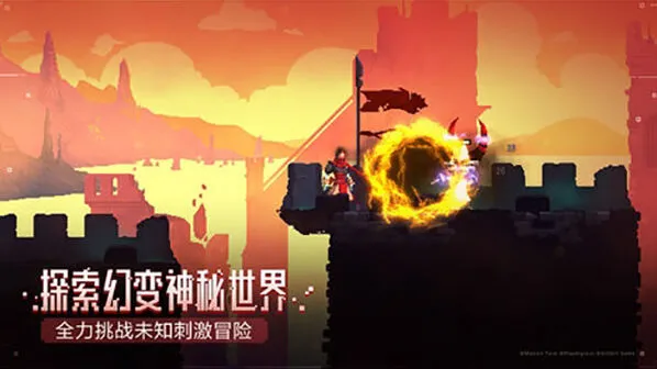 《庇护所》二细胞通关攻略分享