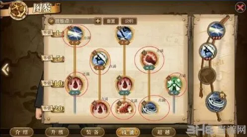 航海王燃烧意志卡古加点教程分享