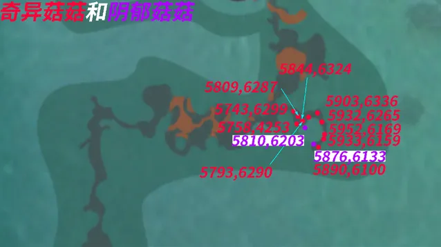 创造与魔法混乱状态