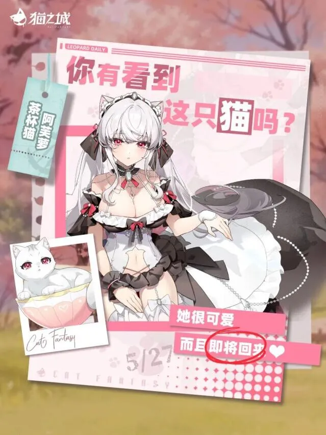 《猫之城》茶杯猫召唤活动教程