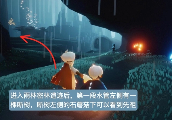 光遇雨林磕头先祖完整位置