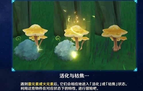原神星蕈