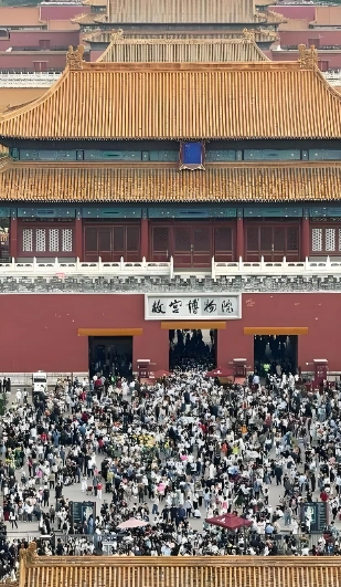 支付宝木结构