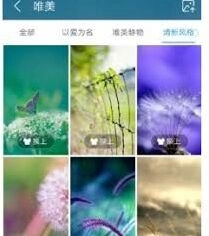 UC浏览器皮肤更换操作指南