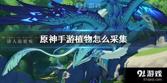 原神植物采集全技巧攻略