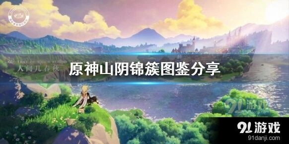 原神中山阴锦簇解析