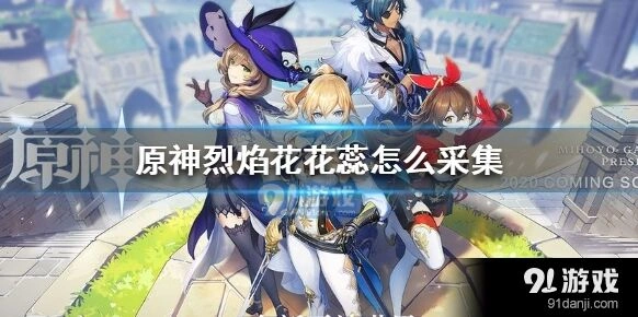 原神烈焰花花蕊采集快速攻略