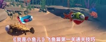 我是小鱼儿基本操作完整教程