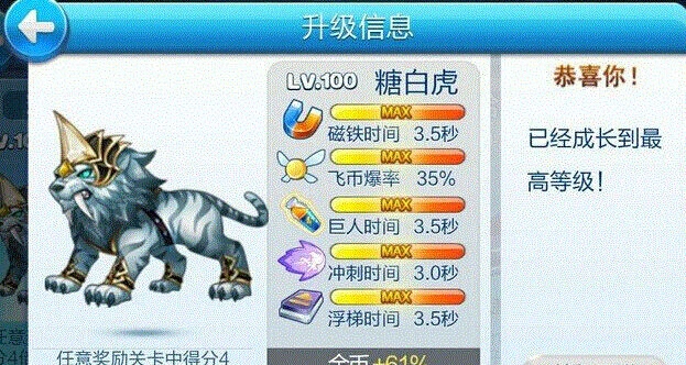 天天酷跑糖白虎搭配攻略大全