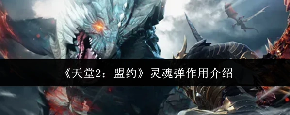 《天堂2：盟约》灵魂弹作用介绍