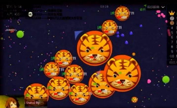 《球球大作战》橡木假面材料汇总