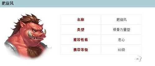 倩女幽魂肥旋风属性加点的选择