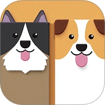 N边形拼图官方最新版-1.0.0