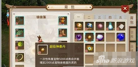 问道超级神兽丹宠物续航攻略
