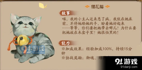 阴阳师新宠物狸花猫值得培养吗